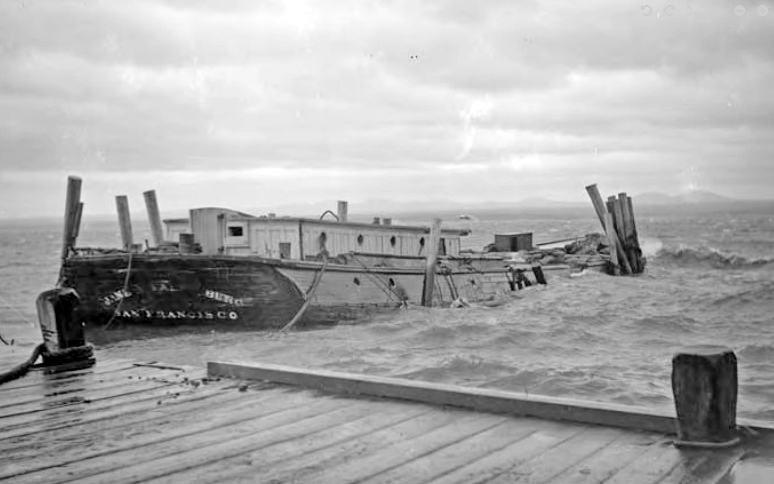 Jane A. Falkenberg 1900